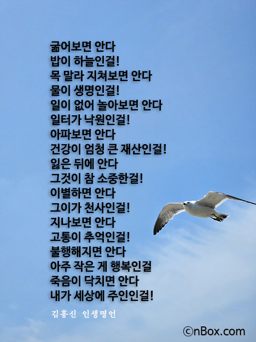 김홍신 작가의 짧지만 긴 여운을 주는 인생명언입니다. 굶어 보고, 목 말라 지치고, 일이 없고, 아파 보고, 잃은 후, 이별한 후, 지나본 후, 불행해질 때, 죽음이 닥칠 때 사람이 깨닫는 것을 소중하게 기억하시기 바랍니다. 좋은 인생명언은 상식입니다.