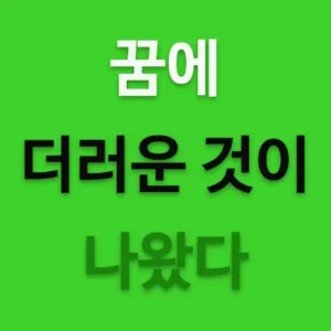 꿈에서 더럽다는 것은 새로워지기 전의 단계로 과거에서 벗어나거나 문제를 극복한다는 의미도 있습니다. 또한 더러운 꿈이지만 묘하게도 재물운과도 깊은 연관이 있는 해몽도 있습니다. 더러운 꿈은 길몽과 흉몽이 교차하니 꿈의 상태에 따라 해몽을 보시기 바랍니다.