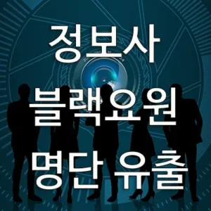 해외에서 신분을 위장해서 활동하는 국군 정보사 블랙요원들의 암호명과 실명 등 신분이 유출되어서 북한에 고스란히 넘어간 사실이 밝혀졌다. 북한에 넘어간 우리측 블랙요원 명단이 해킹되었다고 주장되지만 팔아 먹은 놈이 있는 것은 아닌지 철저하게 조사해야 한다.