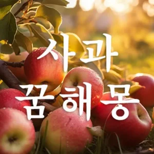 사과꿈은 개인의 건강, 발전, 성취, 행운, 재물, 태몽 등과 깊은 연관이 있습니다. 따라서 꿈에서 보이는 사과의 상태가 좋아야 길몽이라 할 수 있습니다. 꿈에 사과가 보이는 것은 보통 길몽으로 '재물과 태몽'으로 상징됩니다. 썩은사과 꿈은 NO입니다.