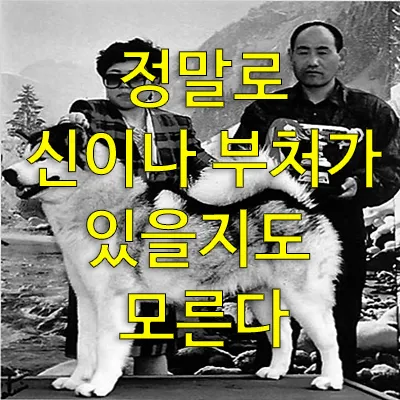 일본에서 실제로 발생했던 연쇄살인범과 스님과 사건을 통해 어쩌면 정말로 신이나 부처가 있을지도 모른다는 이야기를 들어보자. 일본 사이타마현에서 어느 스님이 연쇄살인범에게 걸렸는데 구사일생으로 살아났다. 그런데 이 또한 부처님의 보호가 아니었나 한다.