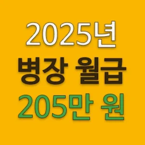 2025년 군대 병장 월급이 정부 지원금을 포함하여 최대 205만 원으로 인상된다. 한편 군 초급간부는 올해 기준 9급 초임 공무원 봉급과 동일하게 2.5% 인상되어서 하사 1호봉 187만7천원, 소위 1호봉은 189만2천400원이다. 병장 월급이 초급 하사나 소위 보다 많으니 누가 군대에 가서 말뚝을 박으려 하겠는가?