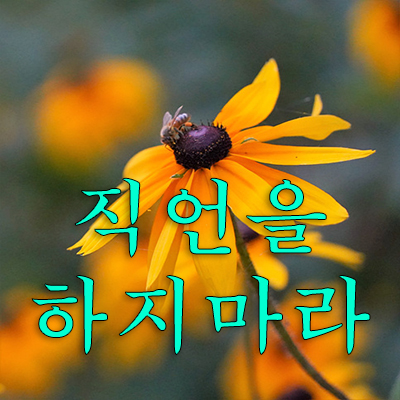 내가 정말로 윗사람이나 가까운 친구나 동료를 위해 이 말은 꼭 해야 된다고 생각할 때가 있다. 그런데 이 생각은 그냥 머리 속에서 담아 두어야 만수무강에 좋다, 무심코 꺼내서 직언(直言)을 하면 안된다. 직언을 하다가 자신의 목숨을 잃을 수도 있다.