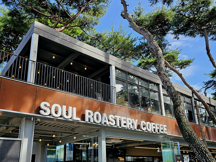 강원도 춘천에서 가볼만한 카페로 소나무 숲이 울창한 소울로스터리(SOUL ROASTERY) 커피 전문점이 있습니다. 소울로스터리(SOUL ROASTERY)에 가면 꼭 옥수수커피를 맛 보시기 바랍니다.