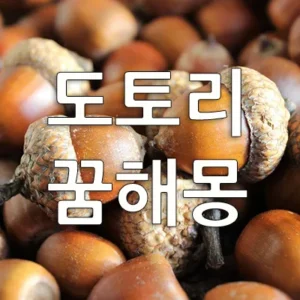 도토리는 꿈을 통하여 긍정적으로는 이득, 재물, 번성, 성과, 결실, 지식 등의 좋은 의미가 있습니다. 그러나 꿈의 상황에 따라서는 손실, 지출, 도난 등과도 연관이 있습니다. 도토리를 받는 꿈, 큰 도토리를 줍는 꿈, 왕도토리 꿈은 태몽일 수 있습니다.