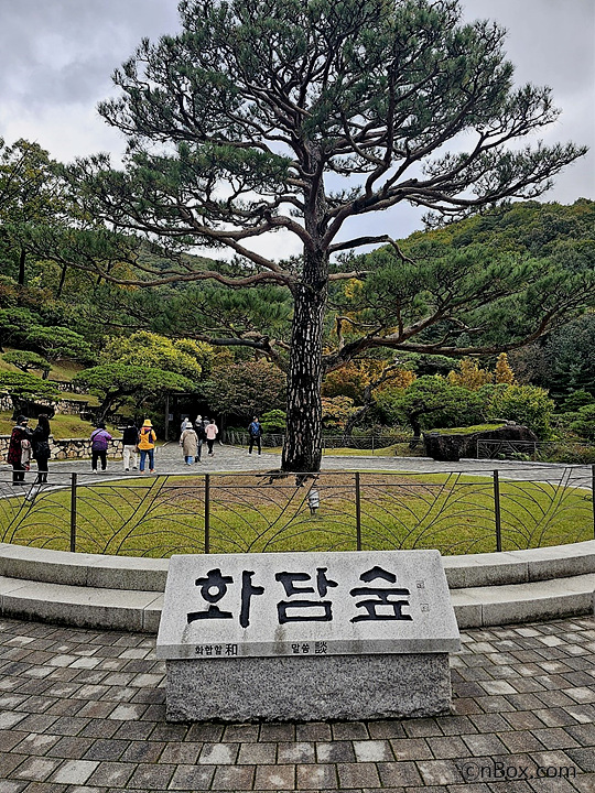 수도권에서 경기도 광주에 위치한 화담숲은 가을 단풍 명소로 꼭 가볼만한 곳입니다. 화담숲 단풍 시기는 대략 11월 첫째 주가 될 것입니다. 화담숲 입장 예매 방법과 화담채 및 모노레일 사용에 관한 정보를 상식적으로 정리한 내용입니다.