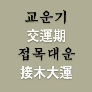 사주에서 교운기(交運期)는 말 그대로 운이 바뀌는 기간이라는 뜻이다. 접목(接木)대운이란 지지가 진술축미(辰戌丑未)인 대운으로 하나의 기운이 다음 기운으로 넘어가는 시기이다. 이때가 인생에서 가장 고비가 되기도 하고 새로운 큰 전환점을 가져올 시기이다.