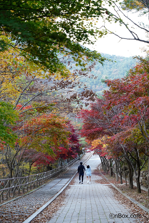 대둔산-수락계곡