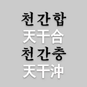 사주팔자는 천간(天干)과 지지(地支)를 바탕으로 코드가 짜여 있다. 천간은 갑(甲), 을(乙), 병(丙), 정(丁). 무(戊), 기(己), 경(庚), 신(辛), 임(壬), 계(癸) 10개로 구성된다. 천간(天干)의 오행은 음양으로 분류되고, 이들 천간은 각기 합(合)과 충(沖)을 하면서 사주명식과 운에서 각기 작용한다.