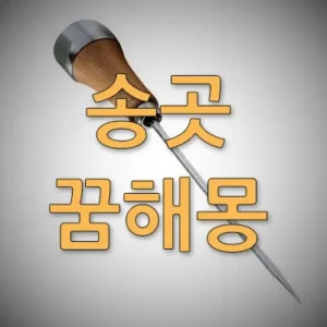 꿈에 송곳이 보였다면 궁여지책, 해결, 통과, 일의 종료, 충격, 불안 등과 깊은 연관이 있습니다. 송곳이 나오는 꿈은 전혀 예상하지 못했던 또는 뜻 밖에 발생되는 일이나 해결책과 상징이 됩니다. 송곳을 얻는 꿈은 해결책을 찾는 것을 암시합니다.