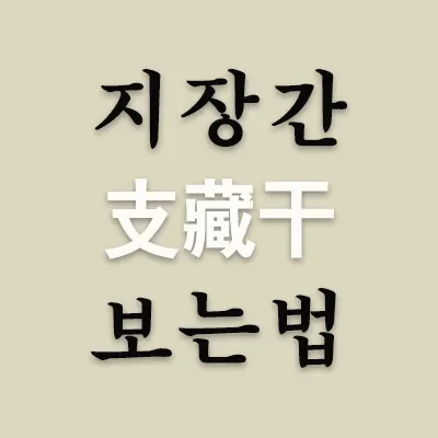 지장간(支藏干)은 지지(地支) 안에 숨겨져 있는 천간(天干)을 말한다. 지지에는 땅(地) 속에 감춰져서(藏) 만물에 영향을 끼치는 하늘의 기운인 천간이 있다. 지장간은 사주명식에 따라 원국에서 바로 작용되기도 하고, 대운이나 세운을 만나 작용된다.