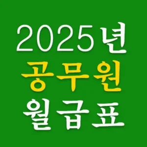 2025년 9급부터 6급까지 호봉별로 공무원의 세후 월급 실수령액입니다. 2025년 공무원 월급 인상률은 3.0%로 높아졌지만 실제 받는 금액은 아무래도 적습니다. 그래서인지 공무원이 되기 보다는 꿀 빠는 알바 자리를 찾는 젊은이들이 늘어나고 있습니다.