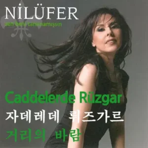 Caddelerde Rüzgar(자데레데 뤼즈가르)는 터키 가수 닐뤼페르(Nilüfer)가 부른 곡입니다. Caddelerde Rüzgar(거리의 바람)는 사랑과 그리움을 표현한 감성적인 노래로, 터키에서 오랫동안 사랑을 받아온 곡입니다. 이 노래는 과거의 사랑을 회상하며, 거리의 바람과 함께 옛 연인을 떠올리는 내용을 담고 있습니다.